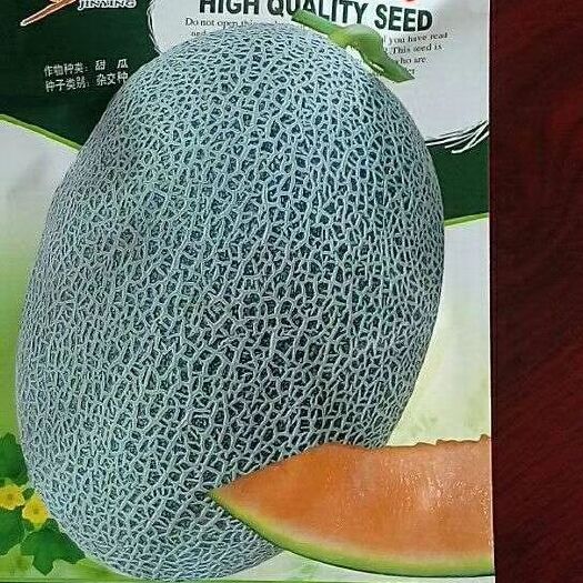 巴彦淖尔 哈密瓜种子