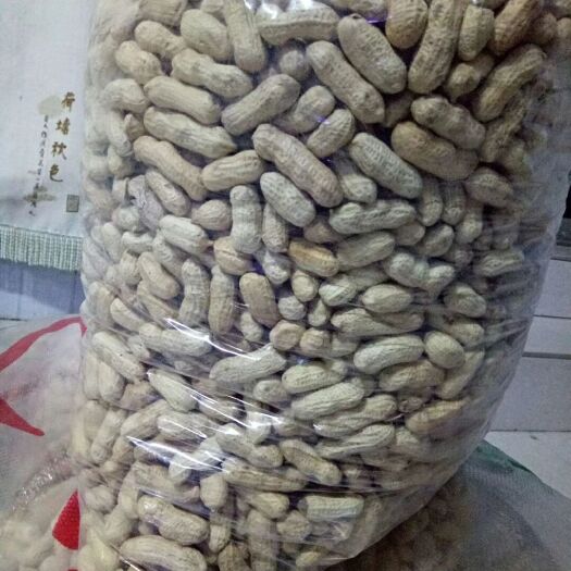 洮南市四粒红色选果花生，熟花生，果白，果粒饱满