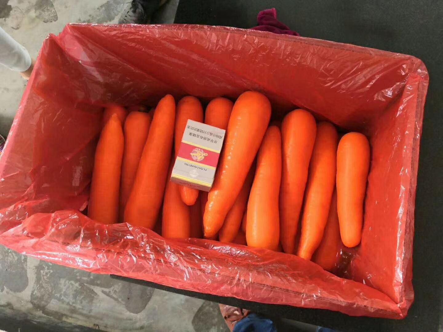 河南开封新鲜春季三红胡萝卜批发 产地直发营养健康