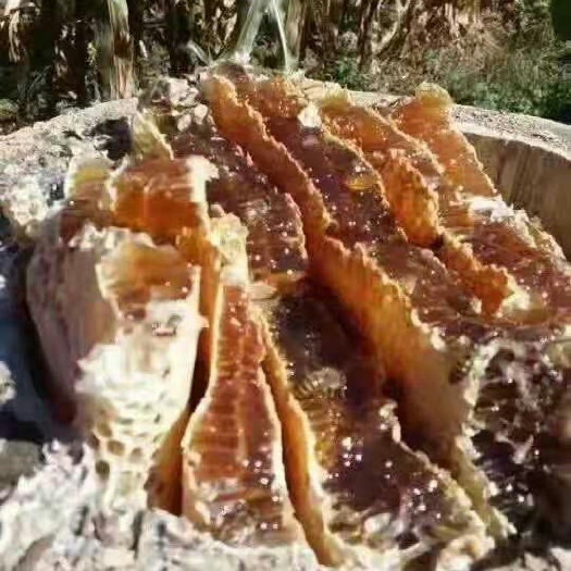 桓仁县土蜂蜜 塑料瓶装  2年以上