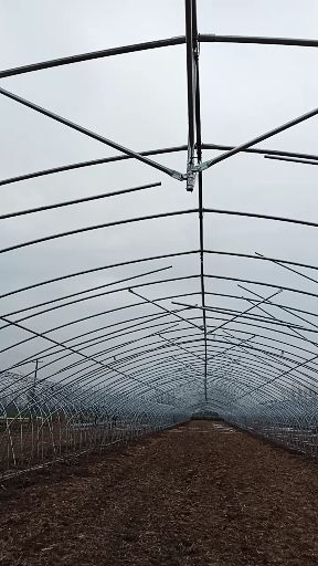 亳州钢管大棚
