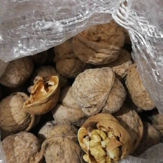 西安秦岭核桃