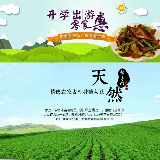 重庆市麻辣豆干 2-3个月 