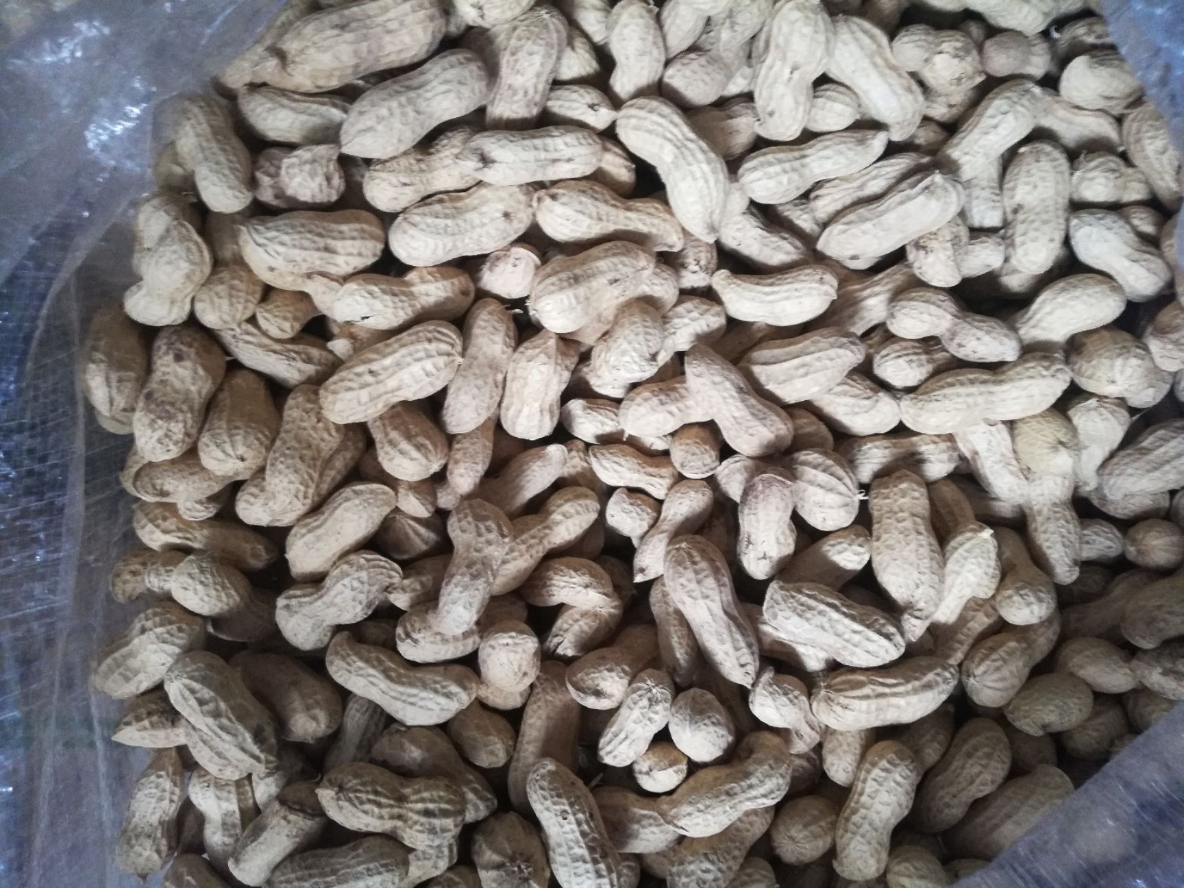 豫花系列  干货 带壳花生 高油酸豫花9326