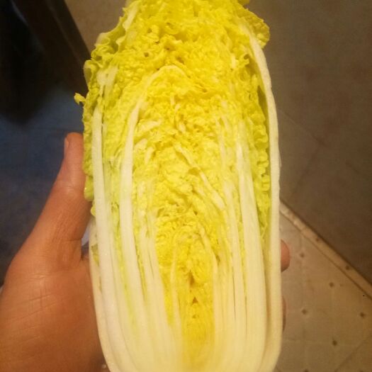 宜城市小娃娃菜 4~5两以上 