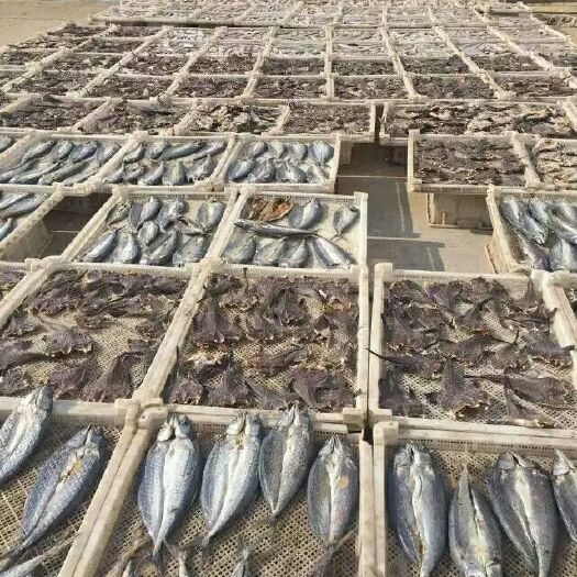 青岛马鲛鱼干  定制淡晒各种干鱼
