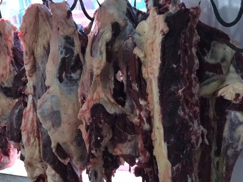 牛肉类 生肉 