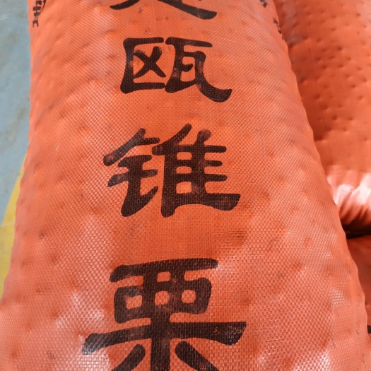 建瓯市锥栗 特级 特选