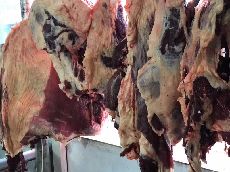 牛肉类 生肉 
