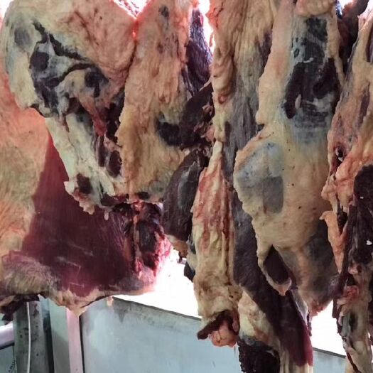 牛排 生肉 