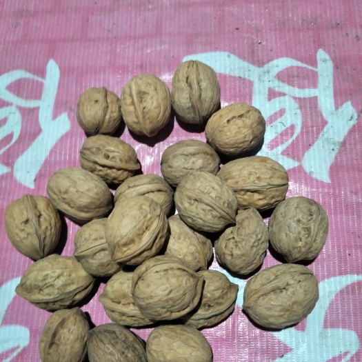 成都新疆核桃