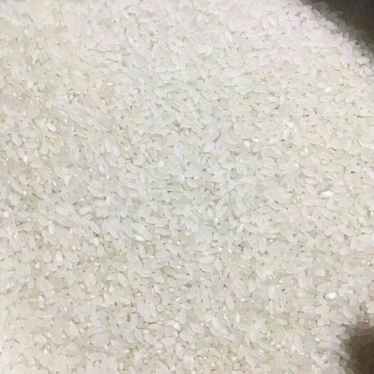 齐齐哈尔东北大米 晚稻 梗米 一等品 