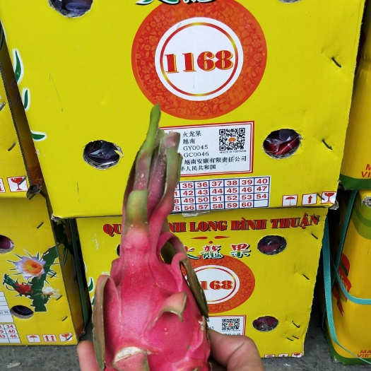 邯郸 白心火龙果85元每箱30个