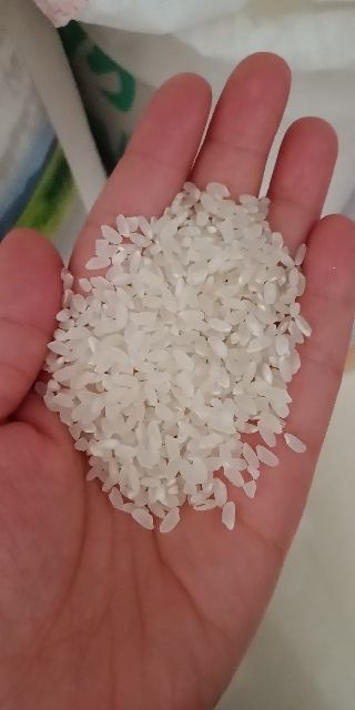 天津长粒香大米 晚稻 梗米 一等品 