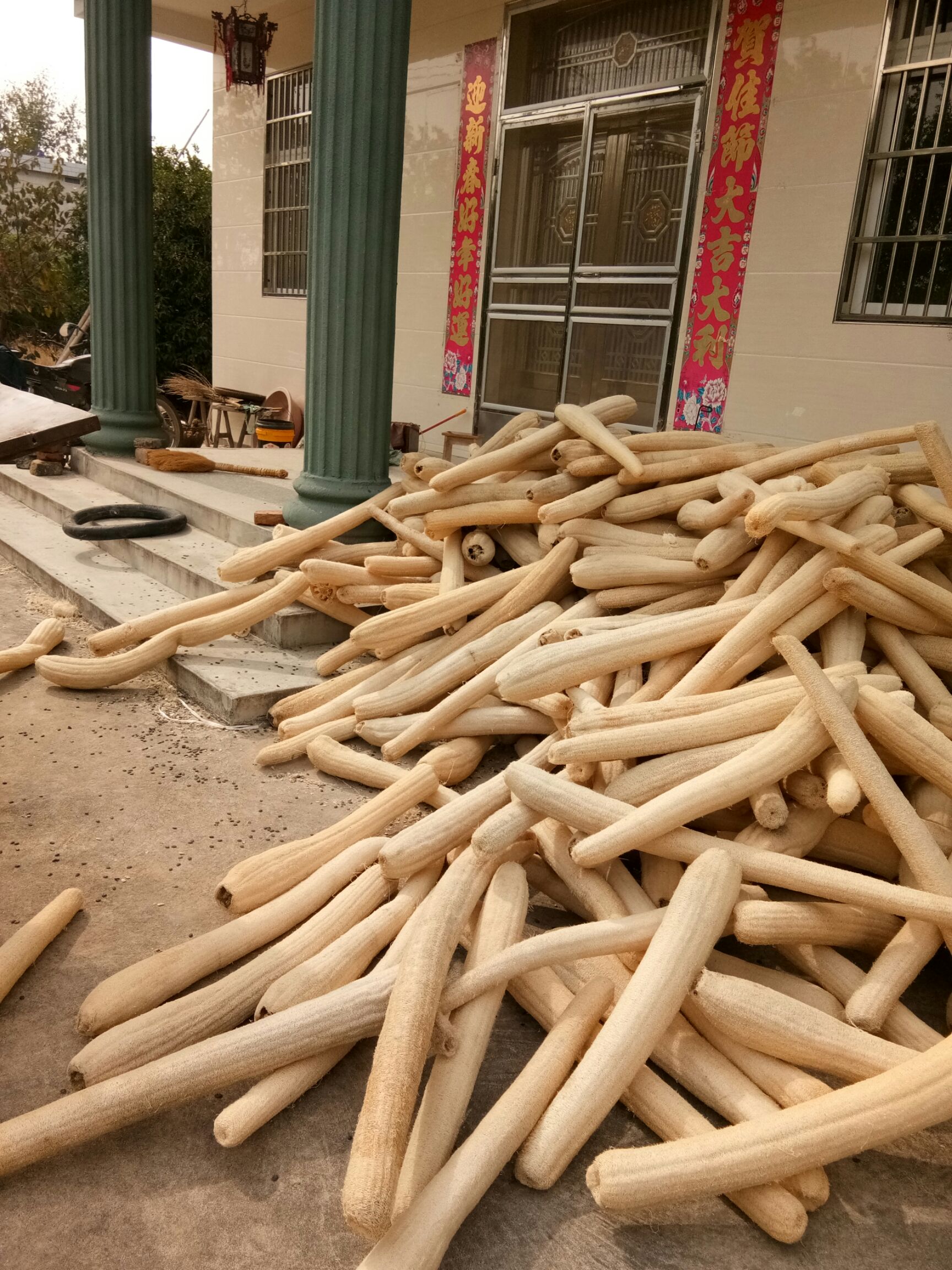 丝瓜络 30cm以上