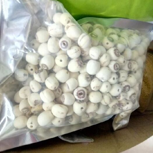 滕州市莲芯茶 莲心