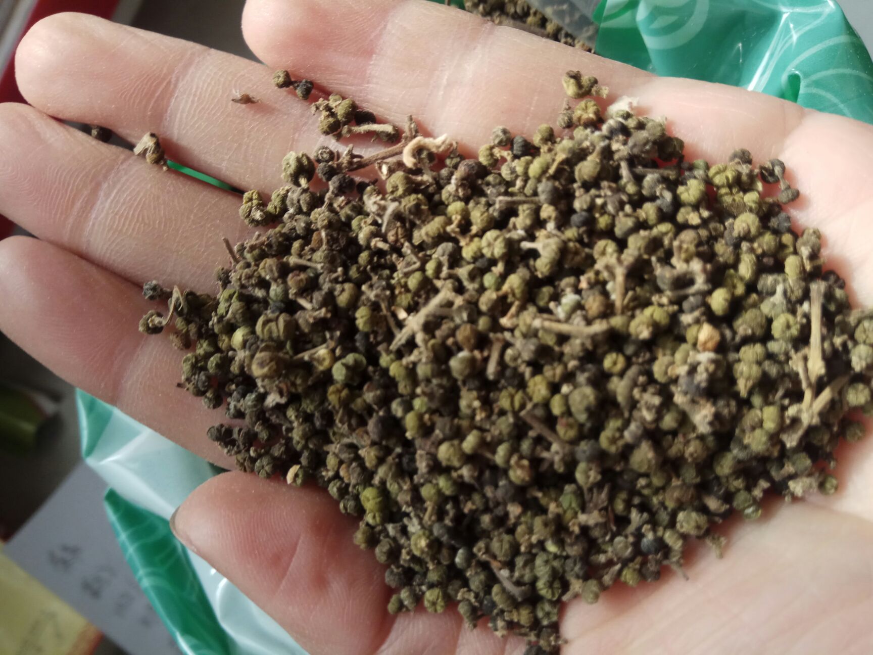 吴茱萸