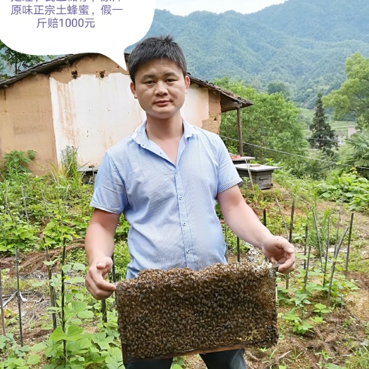 乐安县大山天然秋冬季土蜂蜜