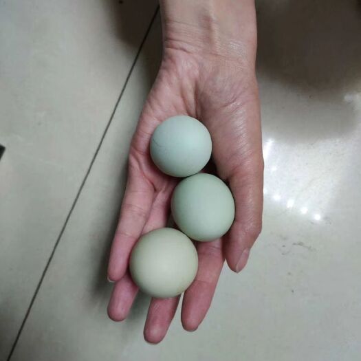 成都土鸡蛋 食用 简包装