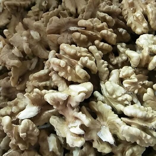汾阳市薄皮核桃