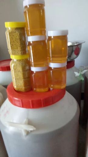 商丘槐花蜜 塑料瓶装  2年以上