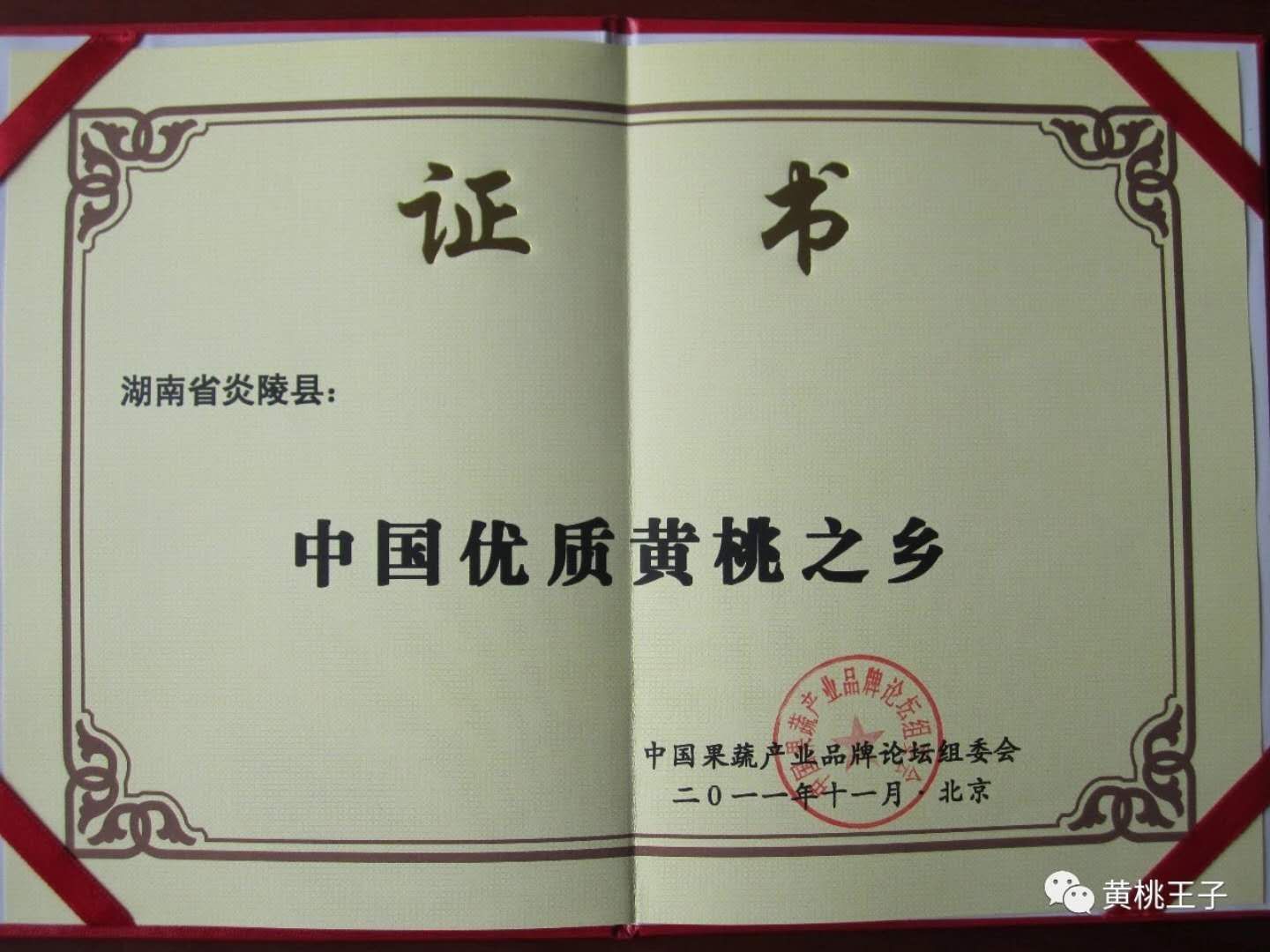 黄桃树苗 本公司桃苗根系发达，品种纯！我们本着“自产自销，薄