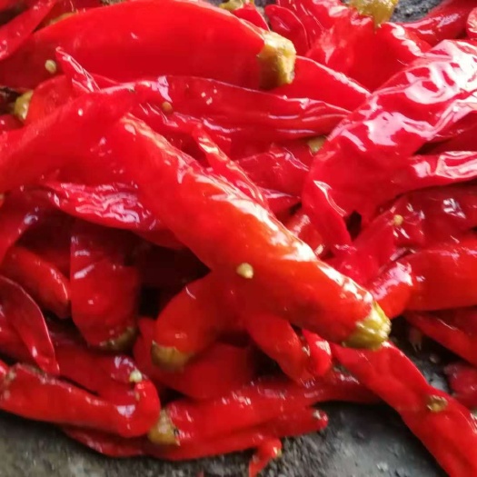 天津泡椒 天津腌制辣椒
