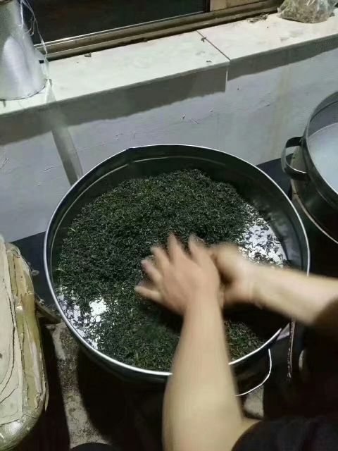 日照绿茶 袋装 一级