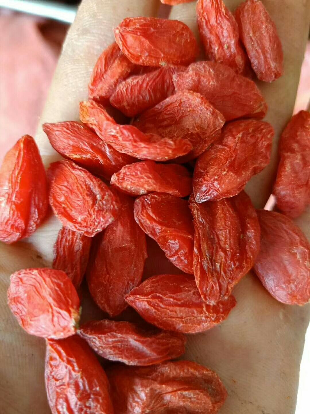 红枸杞  今年头茬。自产自销。保质保量