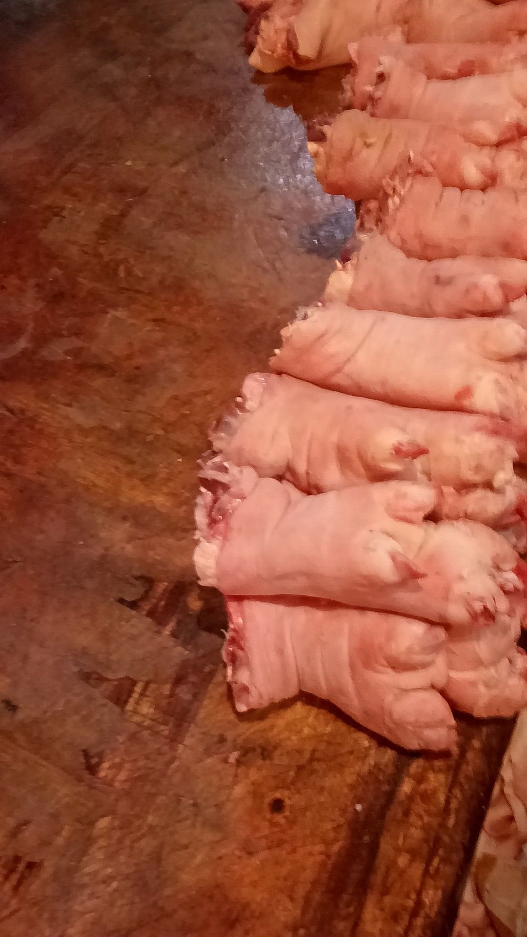 猪肉类 生肉
