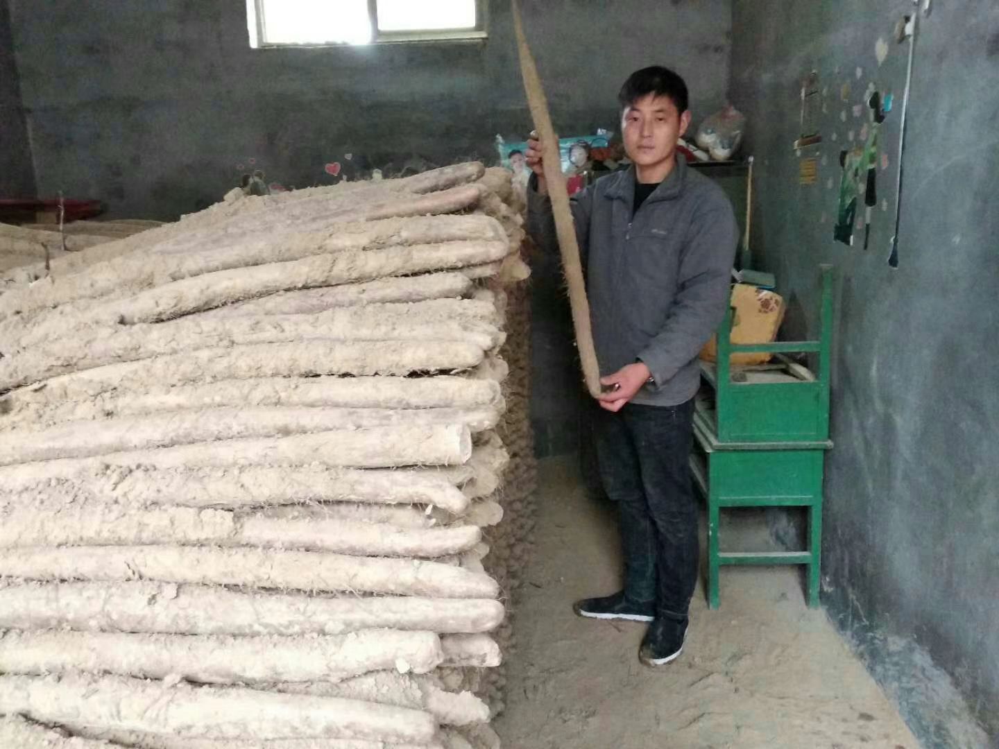 白玉山药  白玉大通货 正在出库中 价格便宜啦 2元一斤 货美价廉