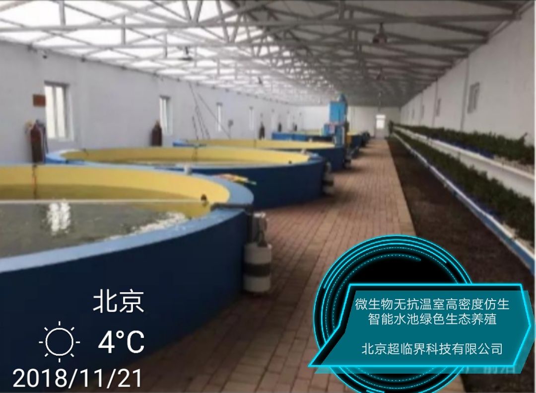 育苗温室大棚  高密度仿生水产养殖箱