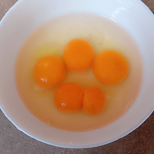 枞阳县鸡种蛋