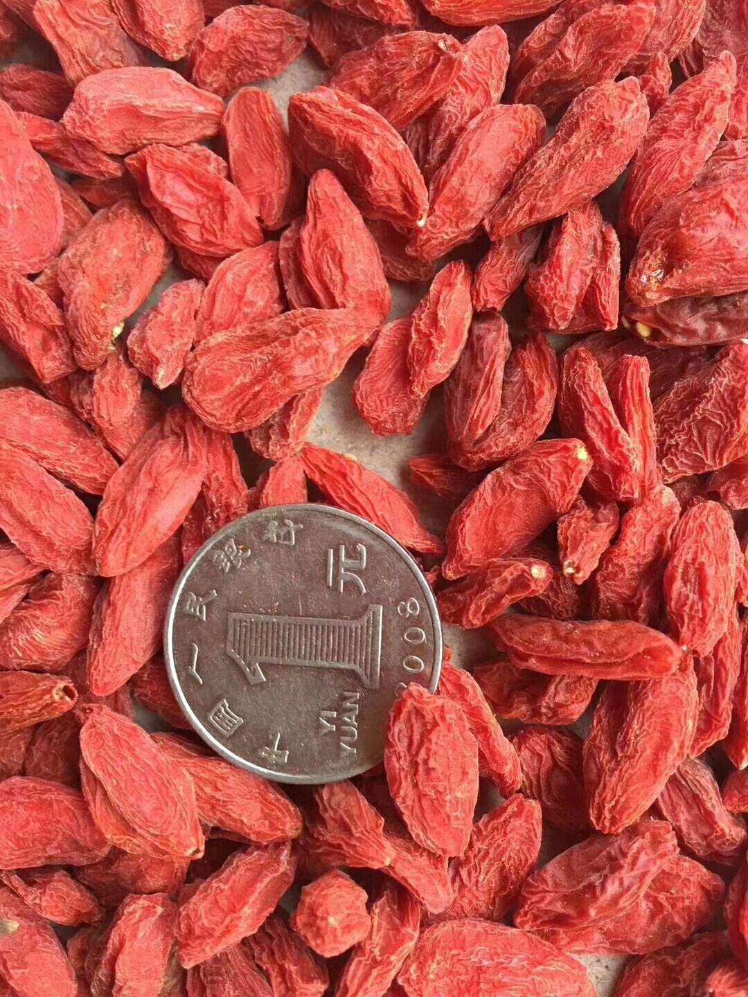 宁夏枸杞药食同源枸杞 批发零售《量大联系客服》