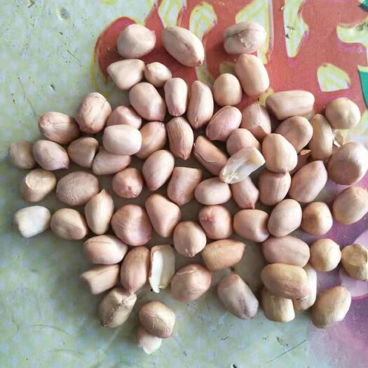 哈尔滨白沙系列花生 干货 花生米 