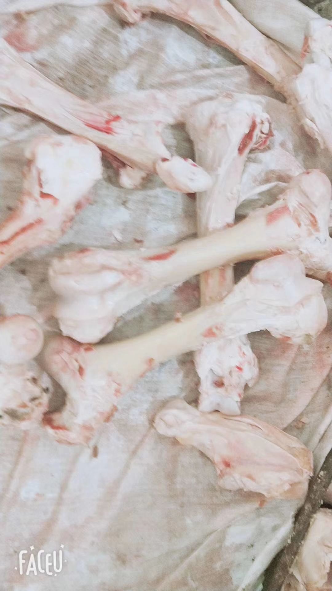 牛骨  牛棒骨 熬汤专用产品