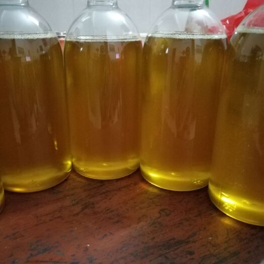 郁南县有机山茶油 