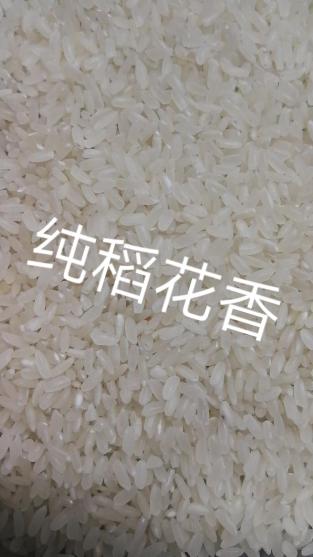  纯稻花香大米！不参假大家放心购买！价格合理！