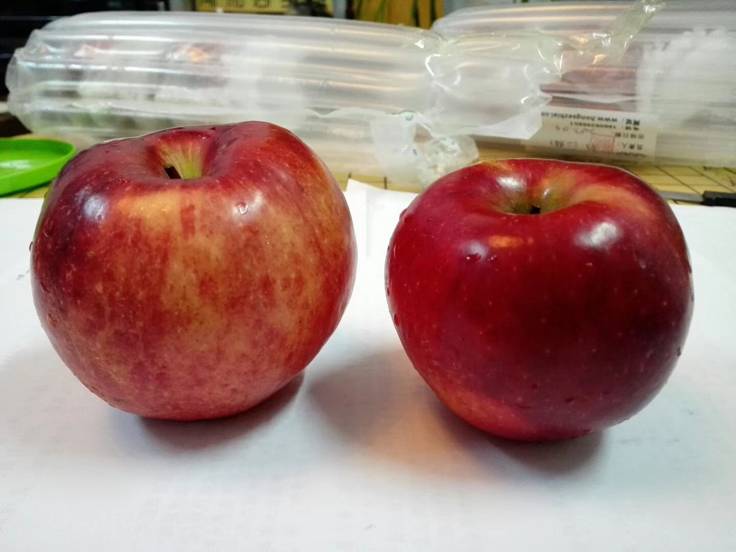 泰安红肉苹果树苗 1~1.5米