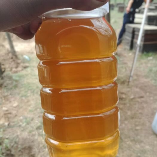 岑溪市 蜂蜜   荔枝蜜  自产自销优质蜂蜜