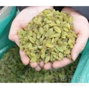 吐鲁番吐鲁番市葡萄干，无核大颗粒，香妃绿宝石葡萄干十斤装一件《包邮》