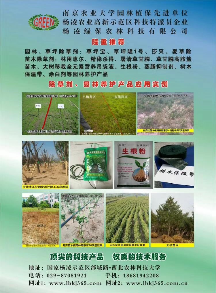 5%辛硫磷颗粒剂杀虫谱广低毒杀虫剂
