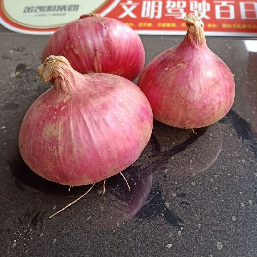 邯郸紫皮洋葱 5~8cm 紫皮 4两以上 