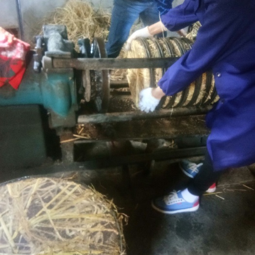 宜春压榨山茶油