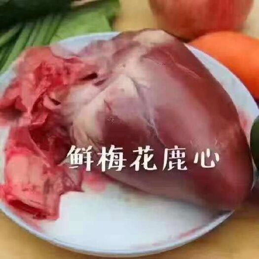 长春梅，花鹿鲜鹿心