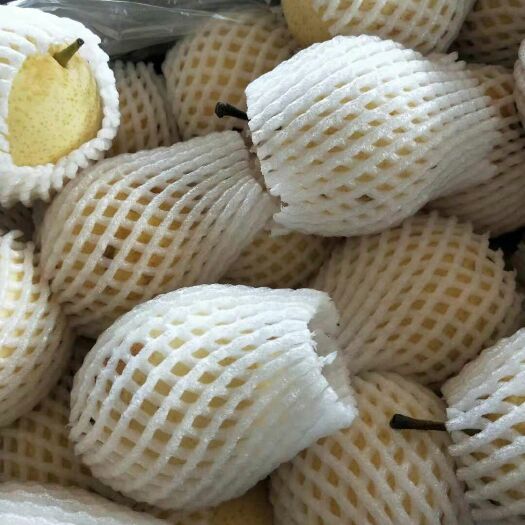 赵县皇冠梨 250-300g 95mm以上 