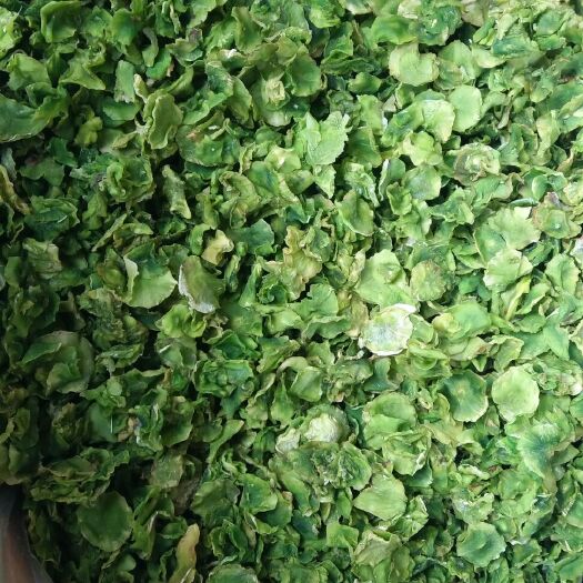 通海县莴笋干片 18-24个月