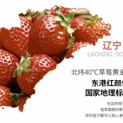 东港市九九草莓 30克以上 