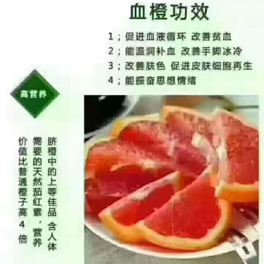 新宁县塔罗科血橙 血橙 70-75mm