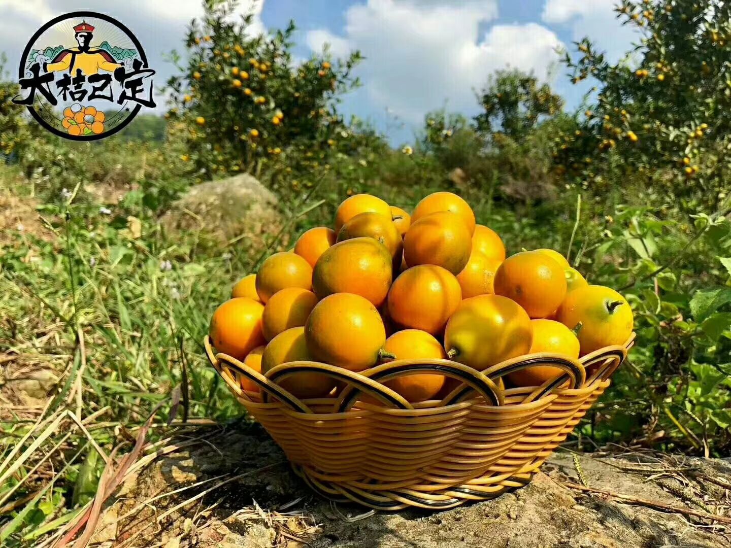 ڰڰһ 54Ź
